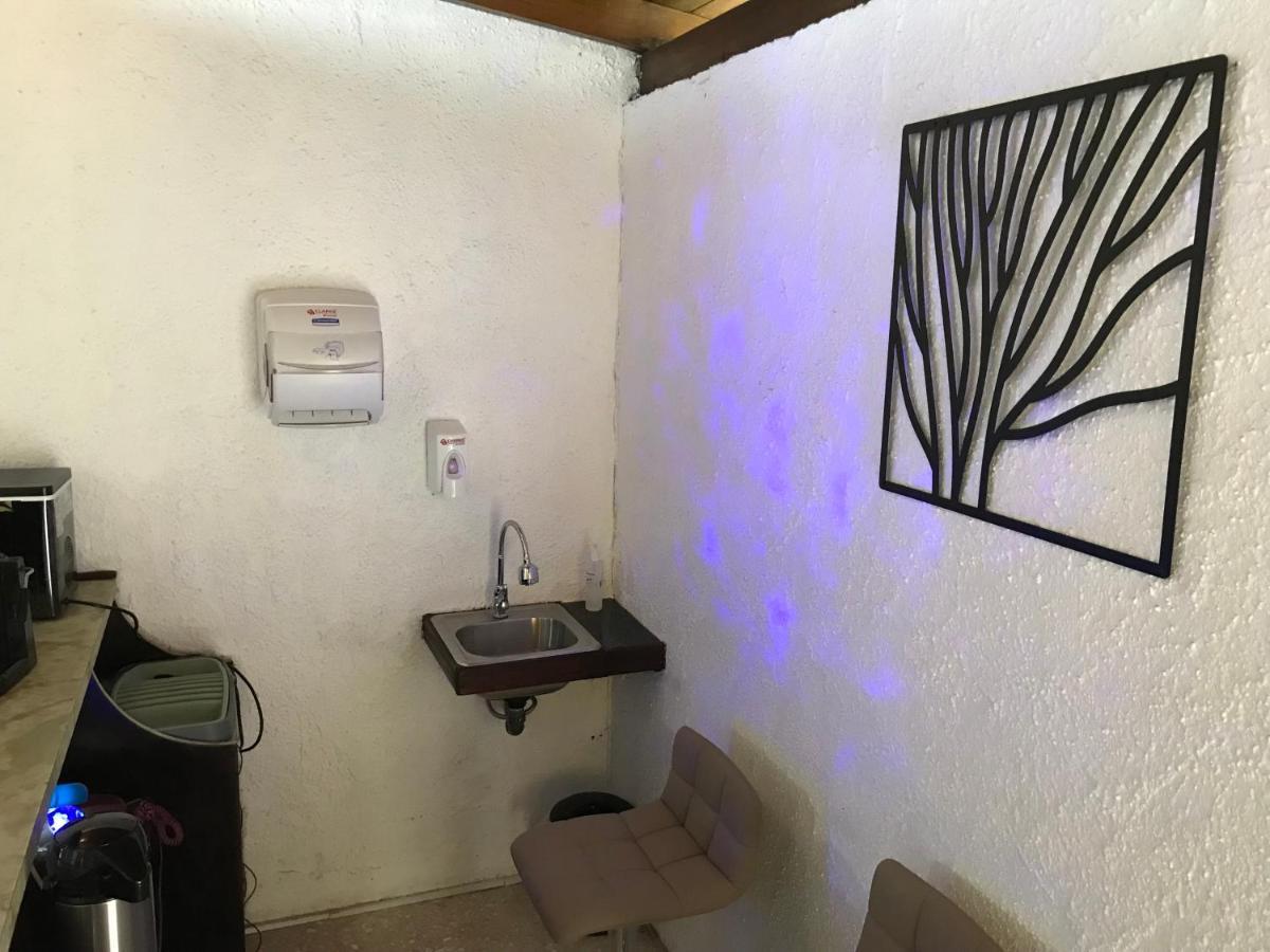 Corazon Sabana Bed & Breakfast San Jose  Bagian luar foto