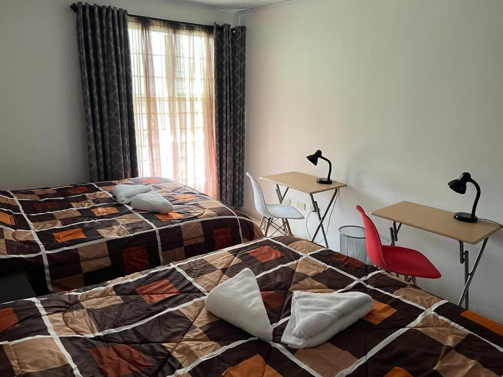 Corazon Sabana Bed & Breakfast San Jose  Bagian luar foto