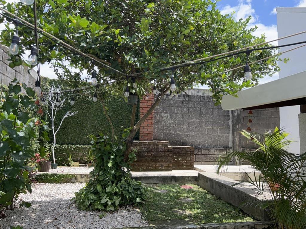 Corazon Sabana Bed & Breakfast San Jose  Bagian luar foto